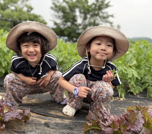 상추와 친해져요.